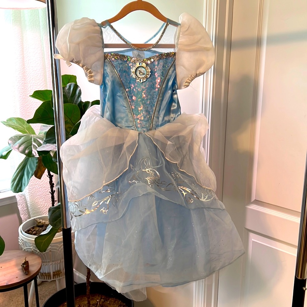 Cinderella costume